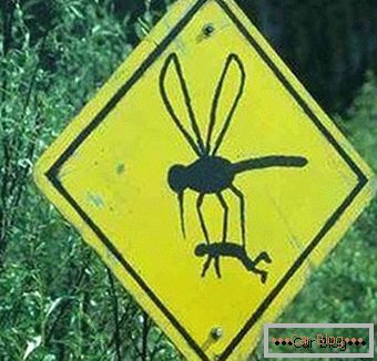 Furcsa szúnyog közlekedési tábla