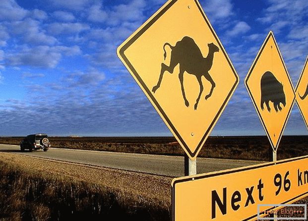 Az ausztráliai útjelző figyelmeztet arra, hogy különböző állatok futhatnak az úton.